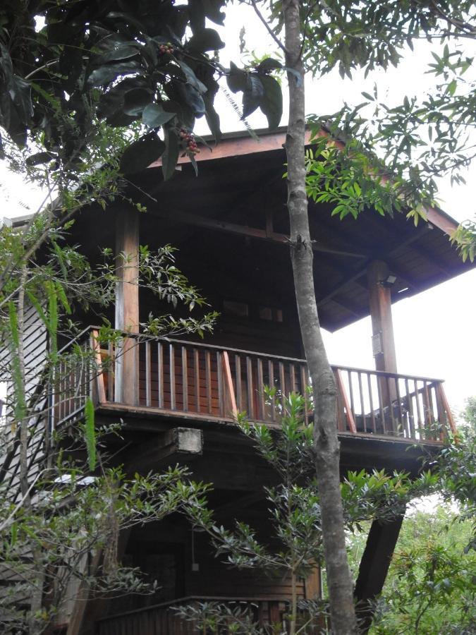 Wilpattu Tree House Bed & Breakfast Nochchiyagama Exterior photo