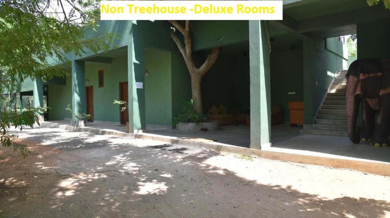 Wilpattu Tree House Bed & Breakfast Nochchiyagama Exterior photo