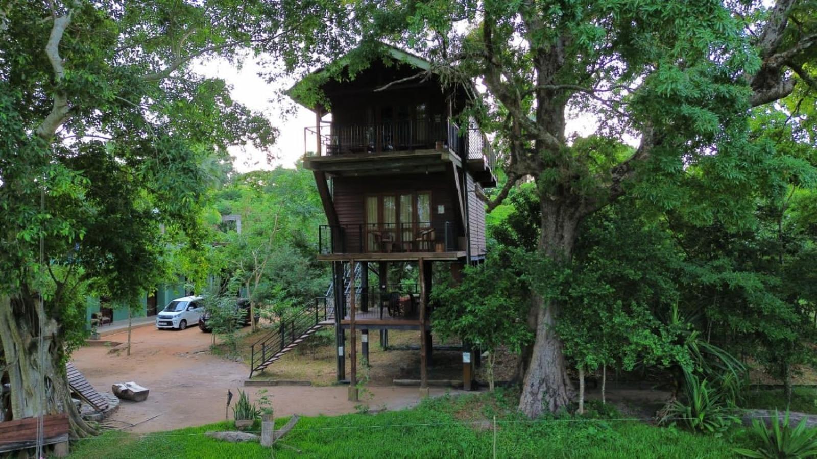 Wilpattu Tree House Bed & Breakfast Nochchiyagama Exterior photo