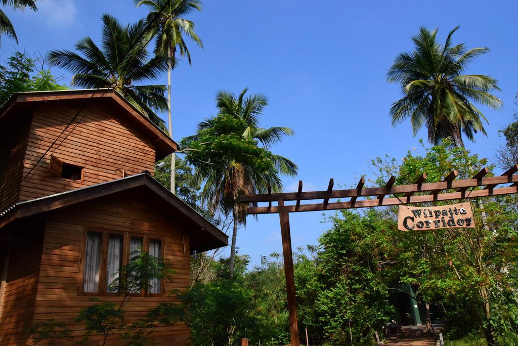 Wilpattu Tree House Bed & Breakfast Nochchiyagama Exterior photo